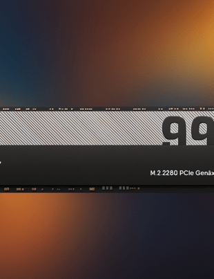 LEXAR SSD