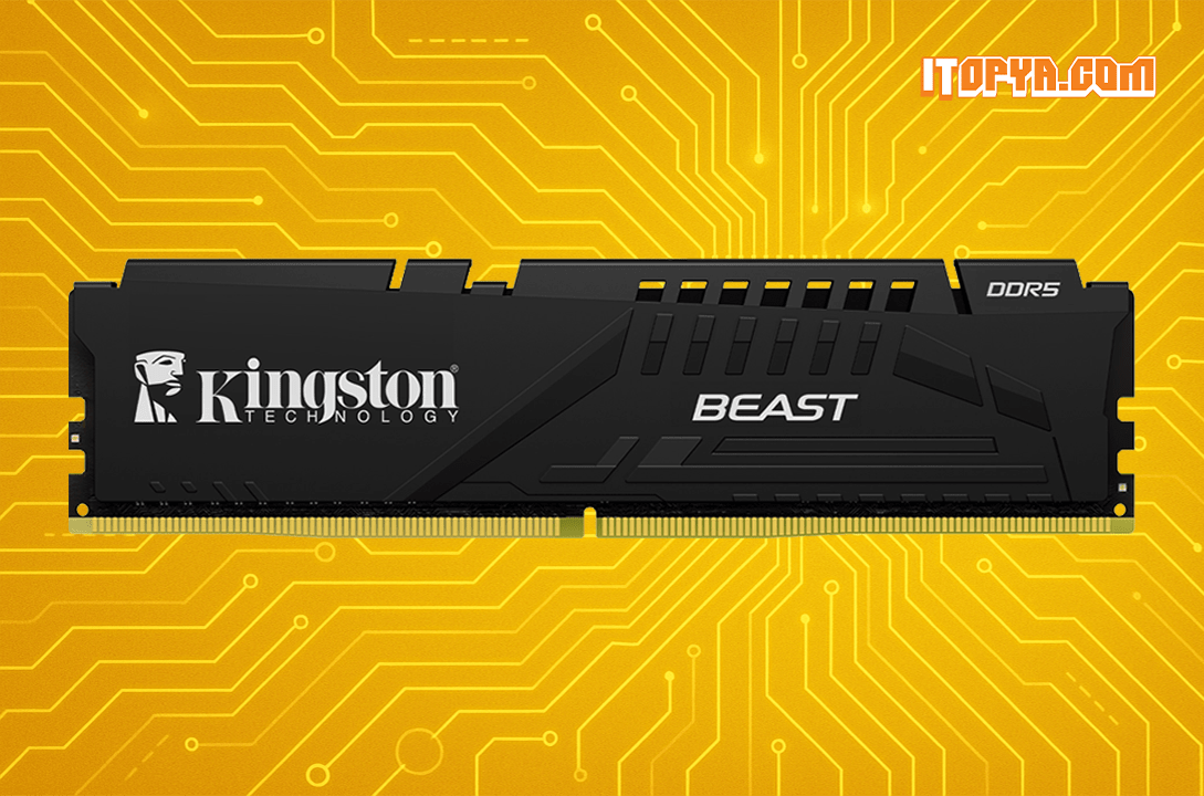 Kingston 16x1 DDR5 5600