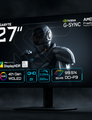 Gigabyte 1