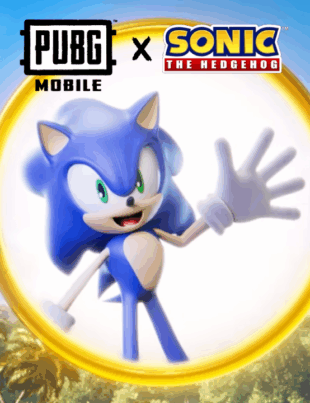 pubg x sonic