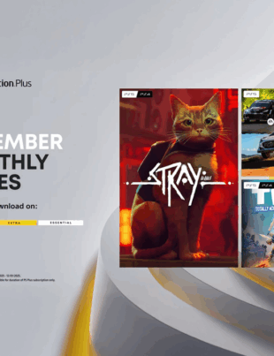 PS Plus Kasım