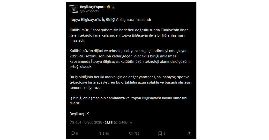 Beşiktaş Esports