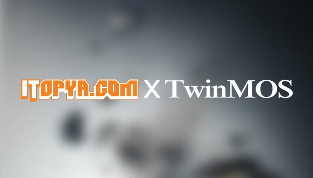 TwinMOS