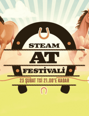 Steam