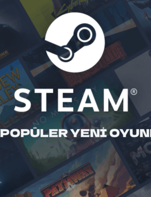 steam 15