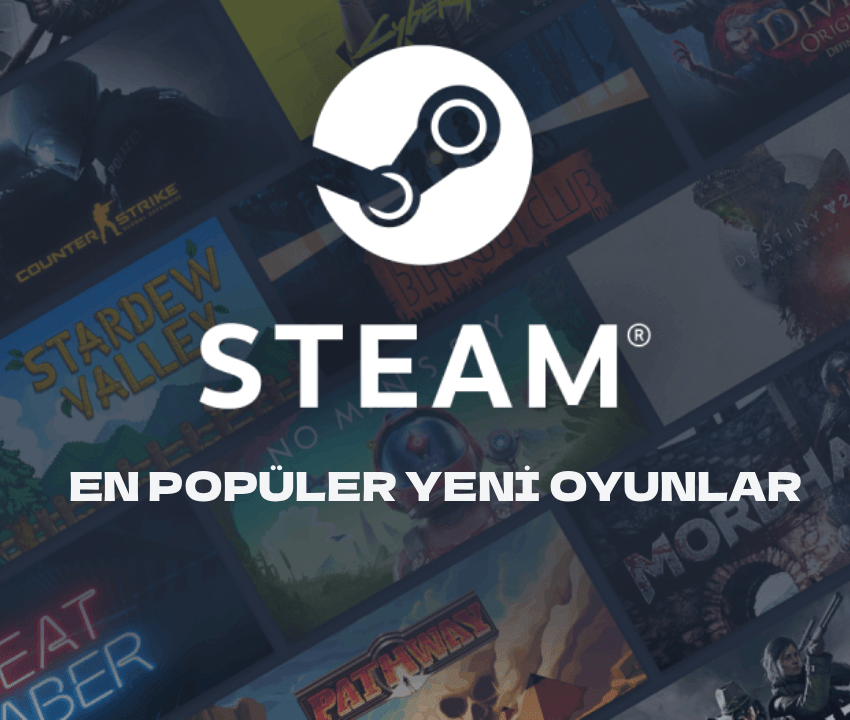 steam 15