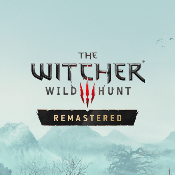 the witcher 3